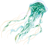 绿色是伪装战斗形象