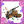 Ⅱ阶阶段图标