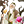 灵魂结晶·坤舆图标
