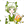 灵魂结晶·香茶图标