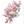 极·天堂福音图标