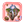 次元凭证·Ⅱ阶A图标