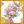 GOLD阶阶段图标