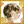 GOLD阶阶段图标