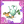 Ⅱ阶+1阶段图标