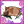 Ⅱ阶+1阶段图标